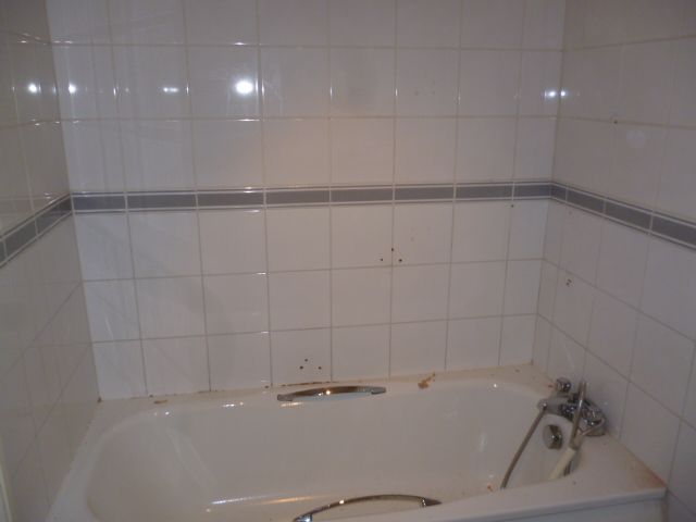 Before &ndash; old bath